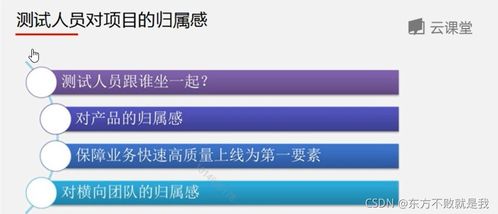 互联网产品测试与信息安全软件开发 构建可信赖的数字化未来